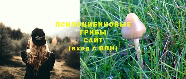 spice Заволжск