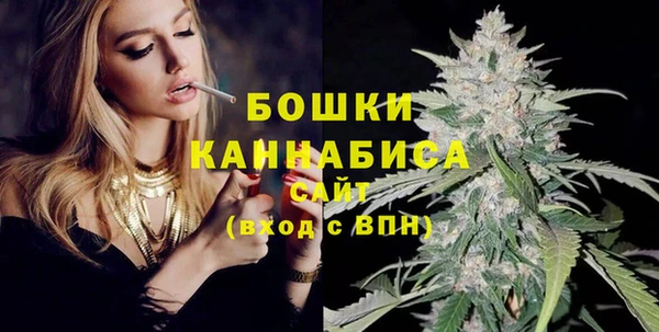 прущие грибы Зеленокумск
