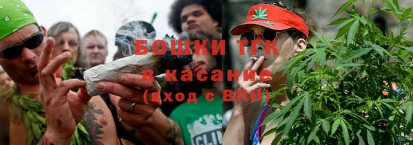 ECSTASY Ельня