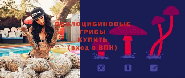 apvp Зерноград